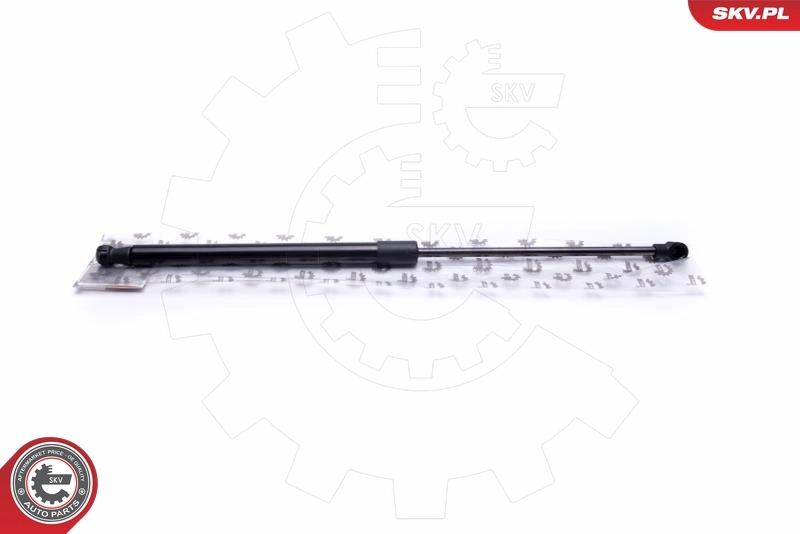 Gas Spring, boot/cargo area